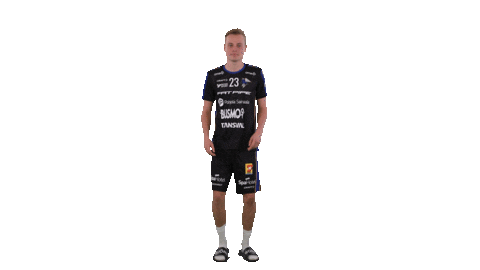 Floorball Salibandy Sticker by F-liiga
