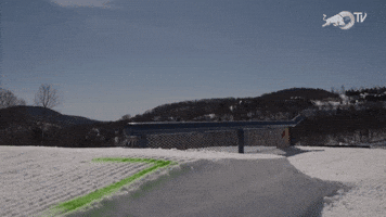 Red Bull Slide-In Tour