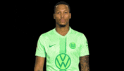 Bundesliga No GIF by VfL Wolfsburg