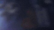 Space Crypto GIF by ShibaNova