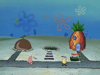 season 1 GIF by SpongeBob SquarePants