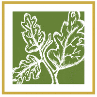 rrlandscaping landscape design auburn alabama landscape architect rrlandscape GIF