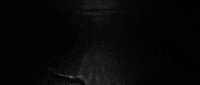 Limbs GIF by unfdcentral