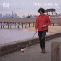 Happy Tony Armstrong GIF by ABC TV + IVIEW