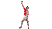 Football Soccer Sticker by SK Slavia Praha