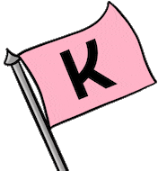 Festival Ok Sticker by Klarna UK