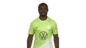 Vfl Wolfsburg Love Sticker by Bundesliga