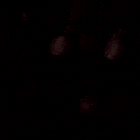My Eyes Flash GIF