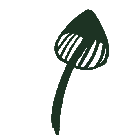 Plant Autumn Sticker