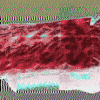 glitch montreal GIF by Death Orgone