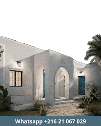 Tunisie Djerba Sticker by visavis immobilier