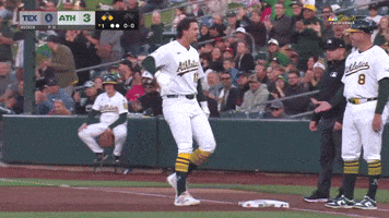 Sport Celebrate GIF by MLB