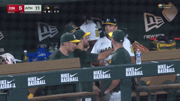 Sport Baseball GIF by MLB