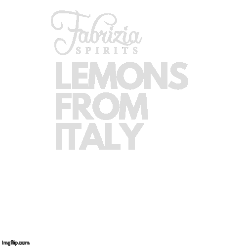 Fabriziaspirits giphyupload limoncello Sticker