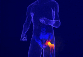 blondel66 giphygifmaker GIF