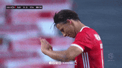 Sl Benfica Slbgif GIF by Sport Lisboa e Benfica
