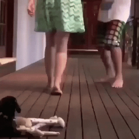 protector GIF