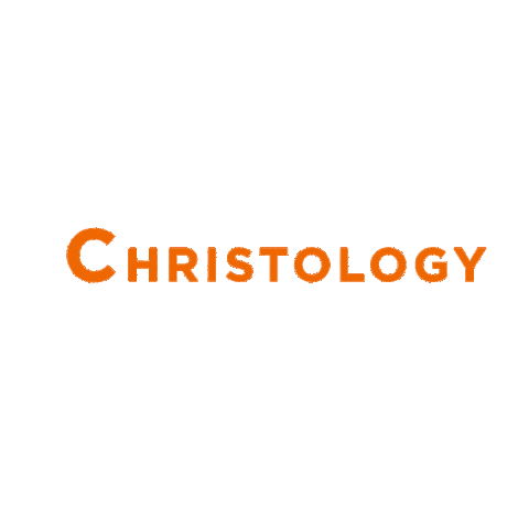 sot chcsot Sticker by Accela