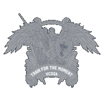 Ventura County Deputy Sticker by VCDSA911