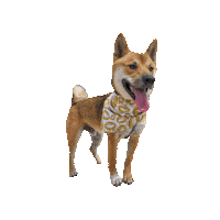 Shiba Inu Tot Sticker by Geekster Pets