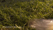 Warner Bros Wb GIF by Warner Bros. Pictures