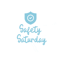 littlestarsleotards gymnastics safe safety gymnast Sticker