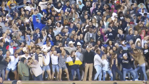 football eagles GIF by Georgia Southern Athletics