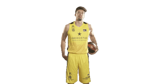 Liga Endesa Basketball Sticker by ACB