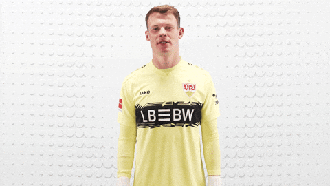 Vfb Stuttgart Football GIF by Bundesliga