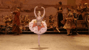 Enblecorsaire GIF by English National Ballet