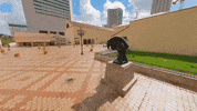 Miami Beach GIF by HistoryMiami Museum