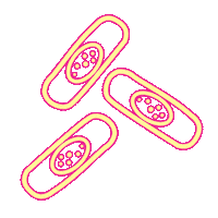 Neonatos Ksimeritos Sticker by Distroller