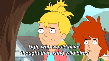 Wild Birds | Season 2 Ep. 11 |  DUNCANVILLE