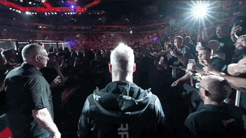 Mixed Martial Arts Sport GIF by UFC