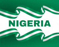 Miss Cosmo Nigeria GIF