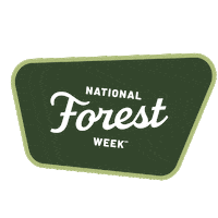 nationalforests national forest foundation national forest week Sticker