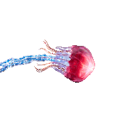 Sticker by îLESONIQ