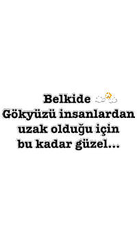 Piknik Gokyuzu Sticker