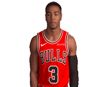 Shaq Harrison Sticker by Chicago Bulls