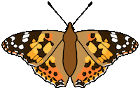 Creepy Crawlies Butterfly Sticker
