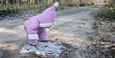 Woods Gnome GIF
