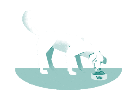 Hund Sticker by HelloBello Frischfutter