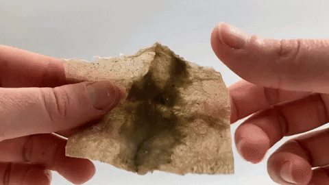 Emmapicanyol giphyupload GIF