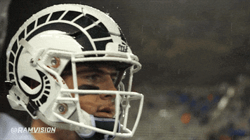 Csu Rams GIF by Colorado State Rams