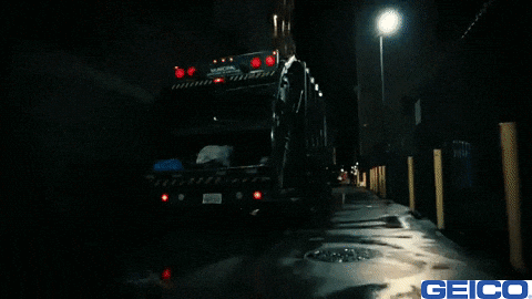 Trash Raccoon GIF by GEICO