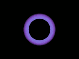 art yolo GIF by Bryan Unger