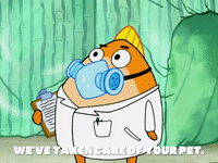 season 5 episode 3 GIF by SpongeBob SquarePants
