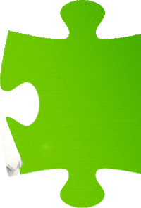 Piezas De Pollo Sticker by Bachoco