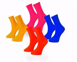 RoiSocks colour socks renkli renk GIF