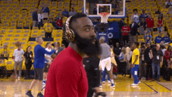 james harden GIF by NBA